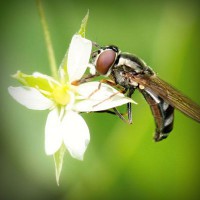 /album/guccial/photolia-a02-jpg/
