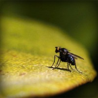 /album/guccial/photolia-a07-jpg/